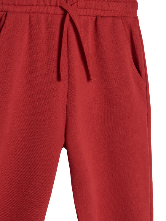 Спортивные брюки regular fit 3J68GF04Z United Colors Of Benetton, красный — фото 3