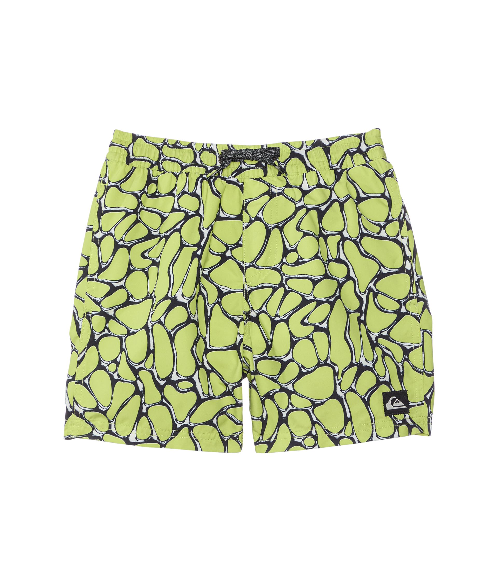 

Шорты Quiksilver Kids Everyday Mercury Volley, зеленый