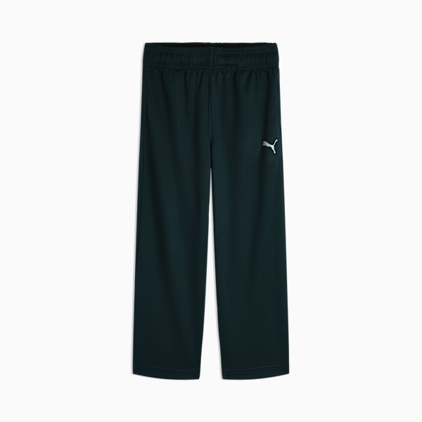 

Спортивные штаны для маленьких детей Puma Active Essentials, зеленый