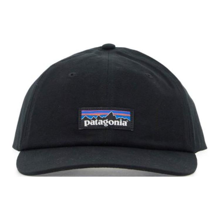 

Кепка Patagonia с логотипом