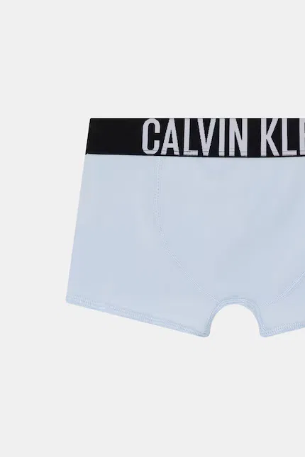 Боксеры детские хлопковые 2 шт Calvin Klein Underwear, синий — фото 4