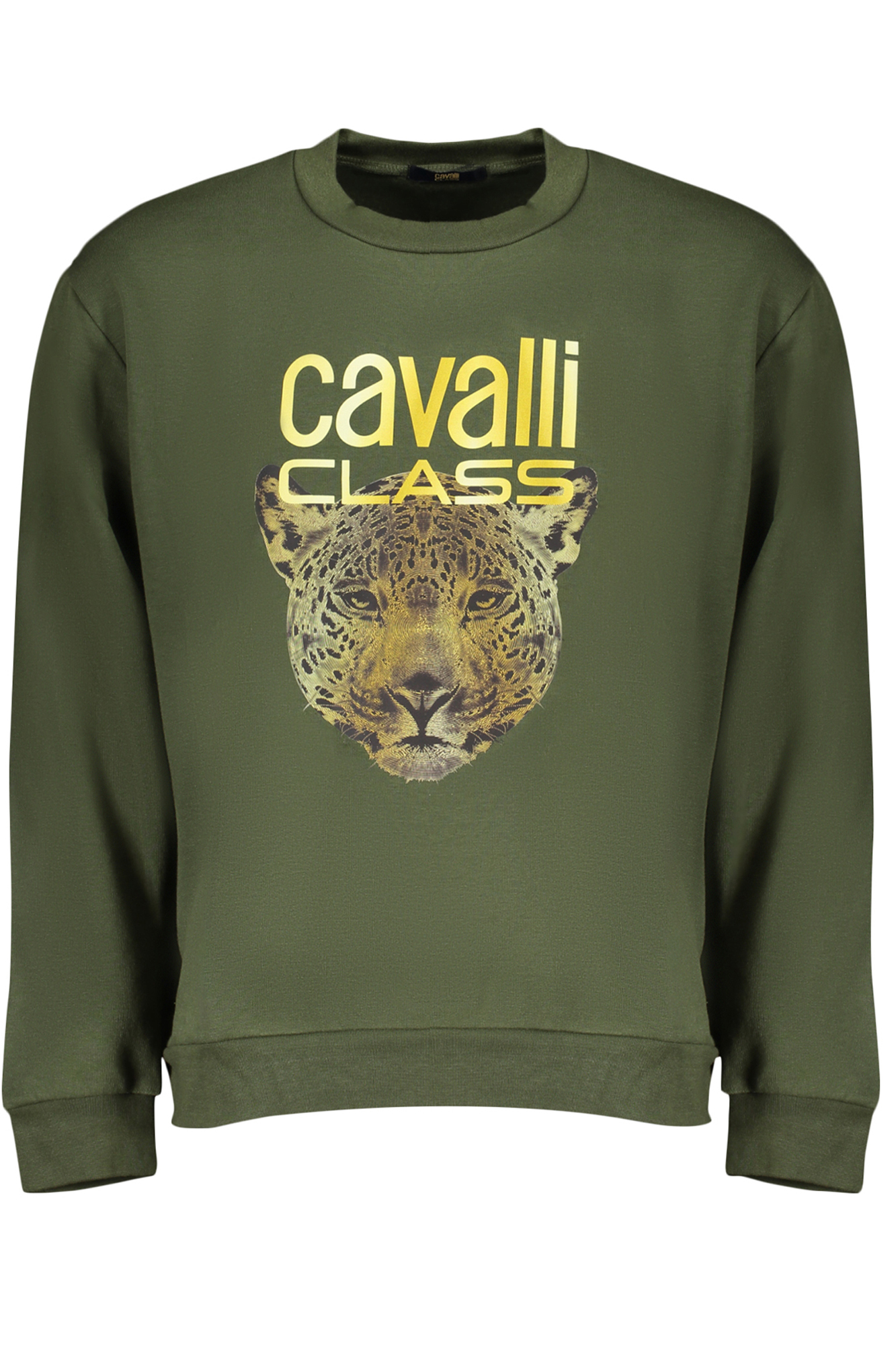 

Толстовка мужская Cavalli Class, зеленый