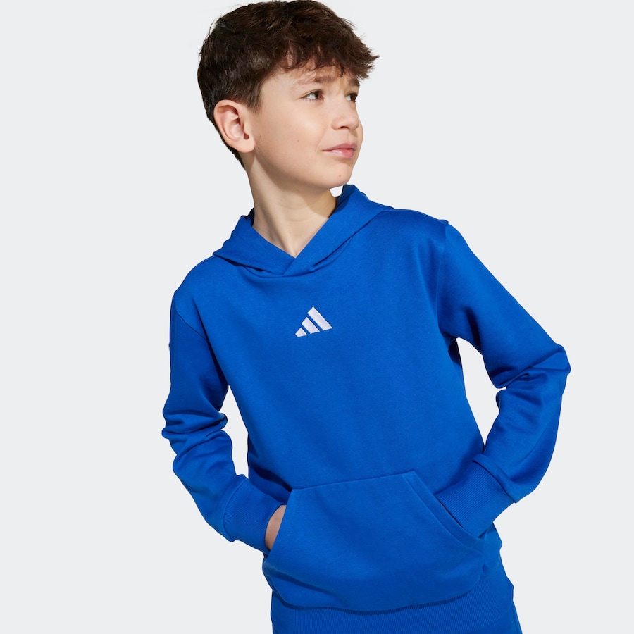 

Спортивная толстовка ADIDAS SPORTSWEAR, синий