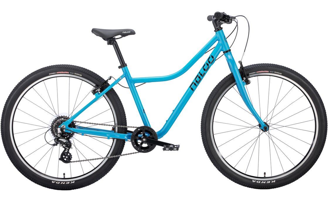 

Горный велосипед Naloo Chameleon 26" MK2 - 26 дюймов - Diamant - 2023, цвет Blau|Light Blue