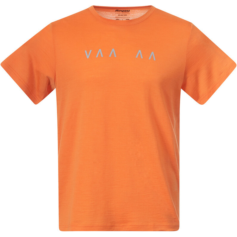 

Мужская футболка Vaagaa Explore Merino Bergans, цвет Faded Orange-Husky Blue