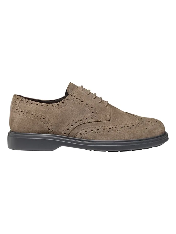 Кожаные шнурованные туфли Ottavio Geox Taupe