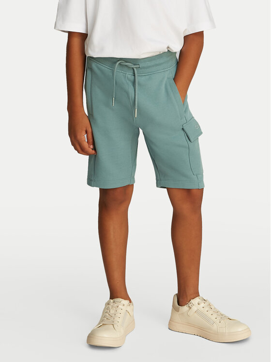 

Свободные спортивные шорты IB0IB02440 Calvin Klein Jeans, зеленый