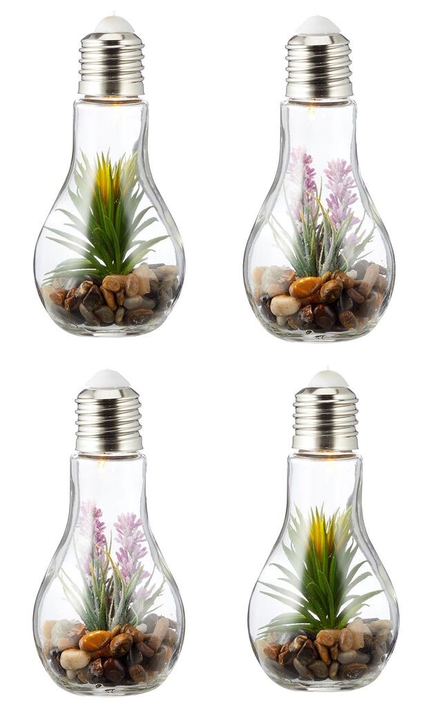 

Набор из 4 сочных стеклянных лампочек каждая, Ш x В, 8 x 19 см, декоративная светодиодная лампа, искусственное растение. levandeo