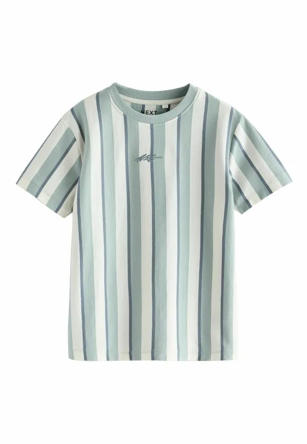 Футболка с коротким рукавом и графическим принтом, стандартного кроя. Next, Mineral Stripe