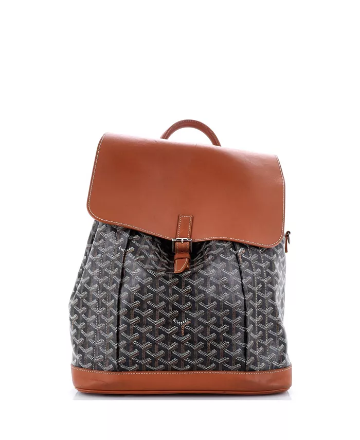 

Рюкзак MM Alpin из прорезиненного холста Pre-Owned Goyard, коричневый