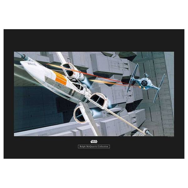 

Фреска Komar Star Wars X-Wing vs TIE-Fighter, серый