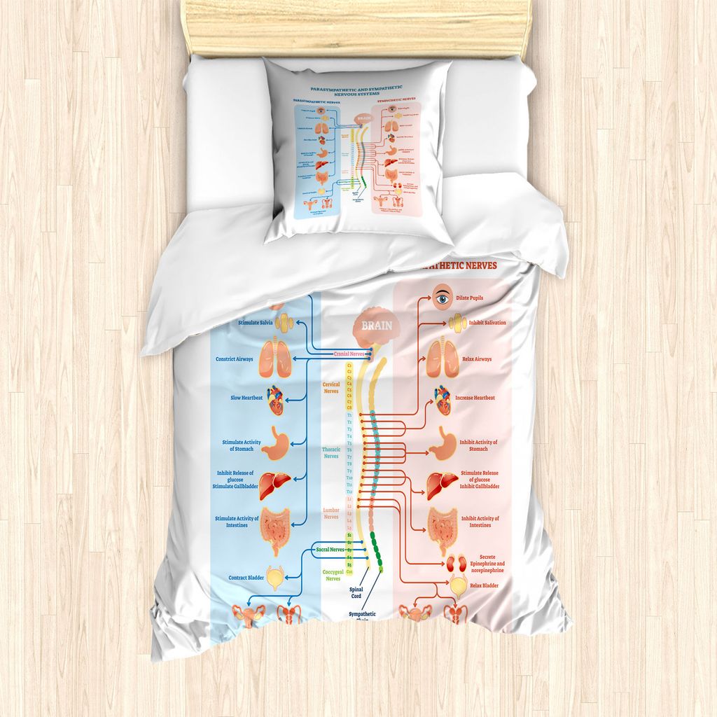 

ABAKUHAUS Комплект пододеяльников Anatomy для односпальных кроватей, структура нервной системы, защита от клещей, подходит для аллергиков, с наволочкой, 135 см x 200 см - 80 x 80 см, нежно-голубой и румяный, Синий, ABAKUHAUS Комплект пододеяльников Anatom