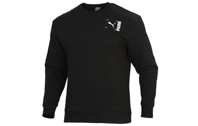

Мужская толстовка Puma, цвет Black