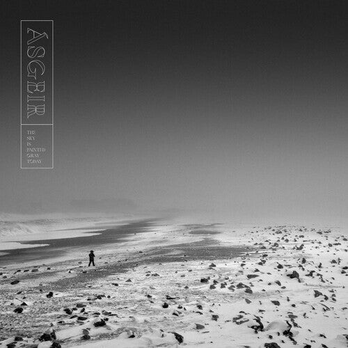 

Виниловая пластинка Asgeir: The Sky Is Painted Gray Today