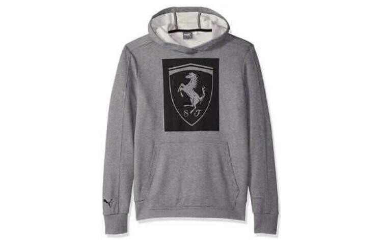 

Толстовка мужская серая Puma, серый