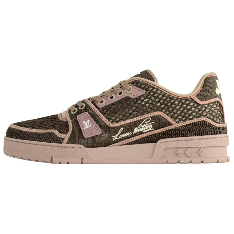 LOUIS VUITTON Кроссовки для скейтбординга Trainer Low Top унисекс коричневого цвета