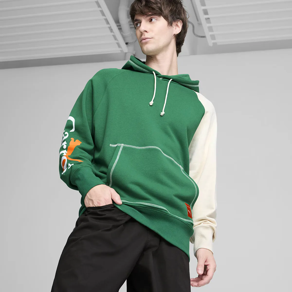 

PUMA X CARROTS Худи с графическим рисунком TR Puma Мужская толстовка, зеленый