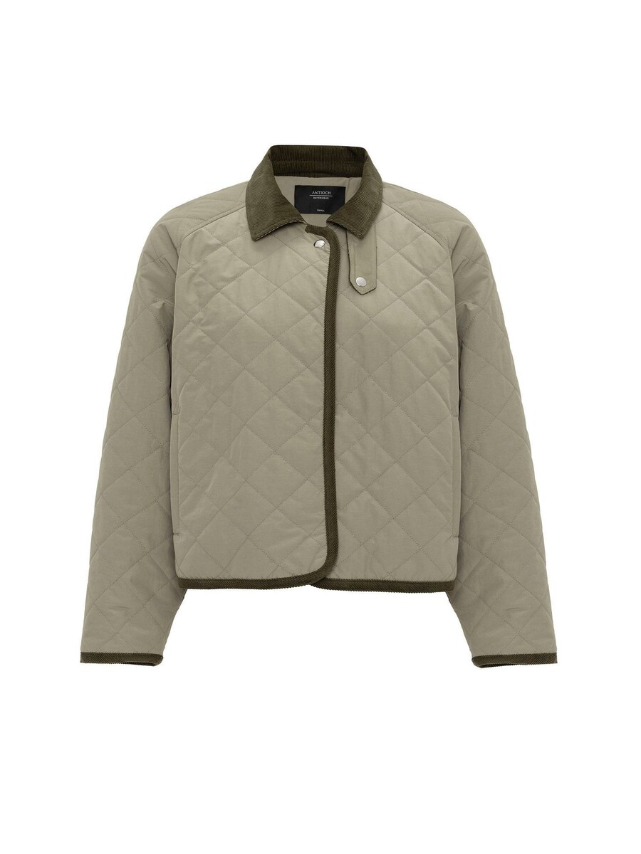 

Куртка межсезонная Antioch Arina, цвет Khaki/Olive