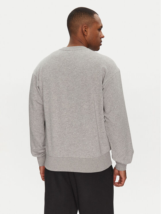 Толстовка обычного кроя Essentials Big Logo JE8952 Adidas, серый — фото 3