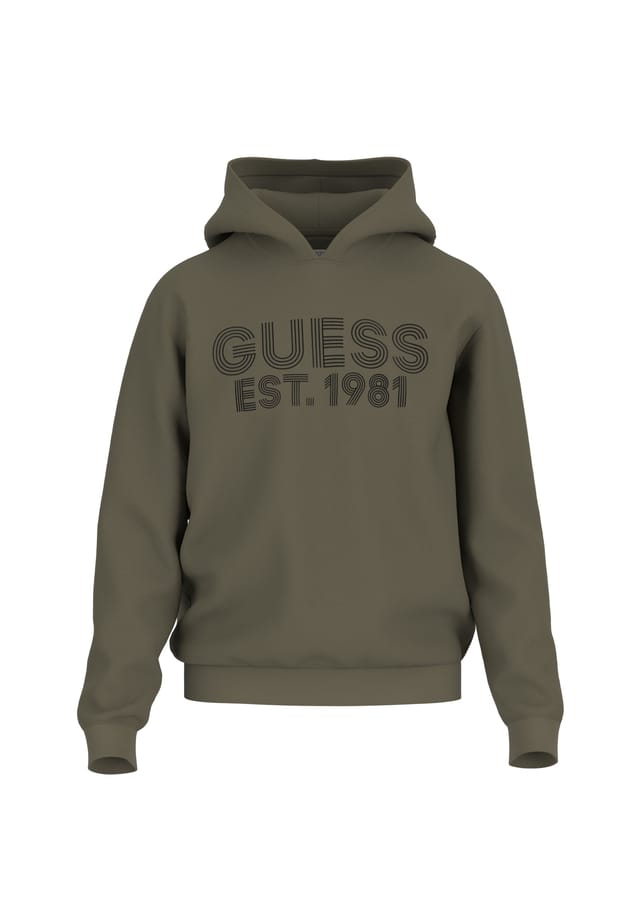 

Толстовка с капюшоном худи красавчик Guess, зеленый