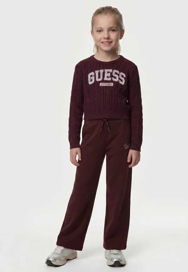 Спортивные штаны Guess, тёмно-коричневый