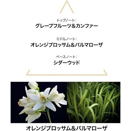 Le Couvent Botanical Cologne Aqua Mysteri Edt 50ml — фото 3
