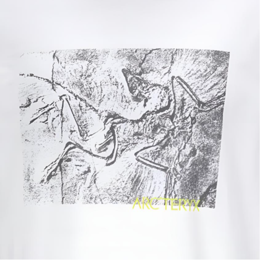 Футболка Kragg graphic Arcteryx, sandstone коричневый/canvas — фото 3