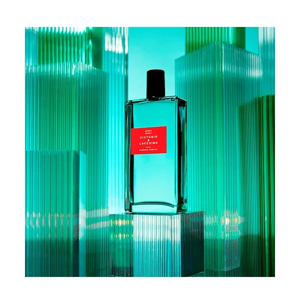 Туалетная вода для мужчин Aguas Sport Nº 12 Victorio & Lucchino, 150 ml — фото 3