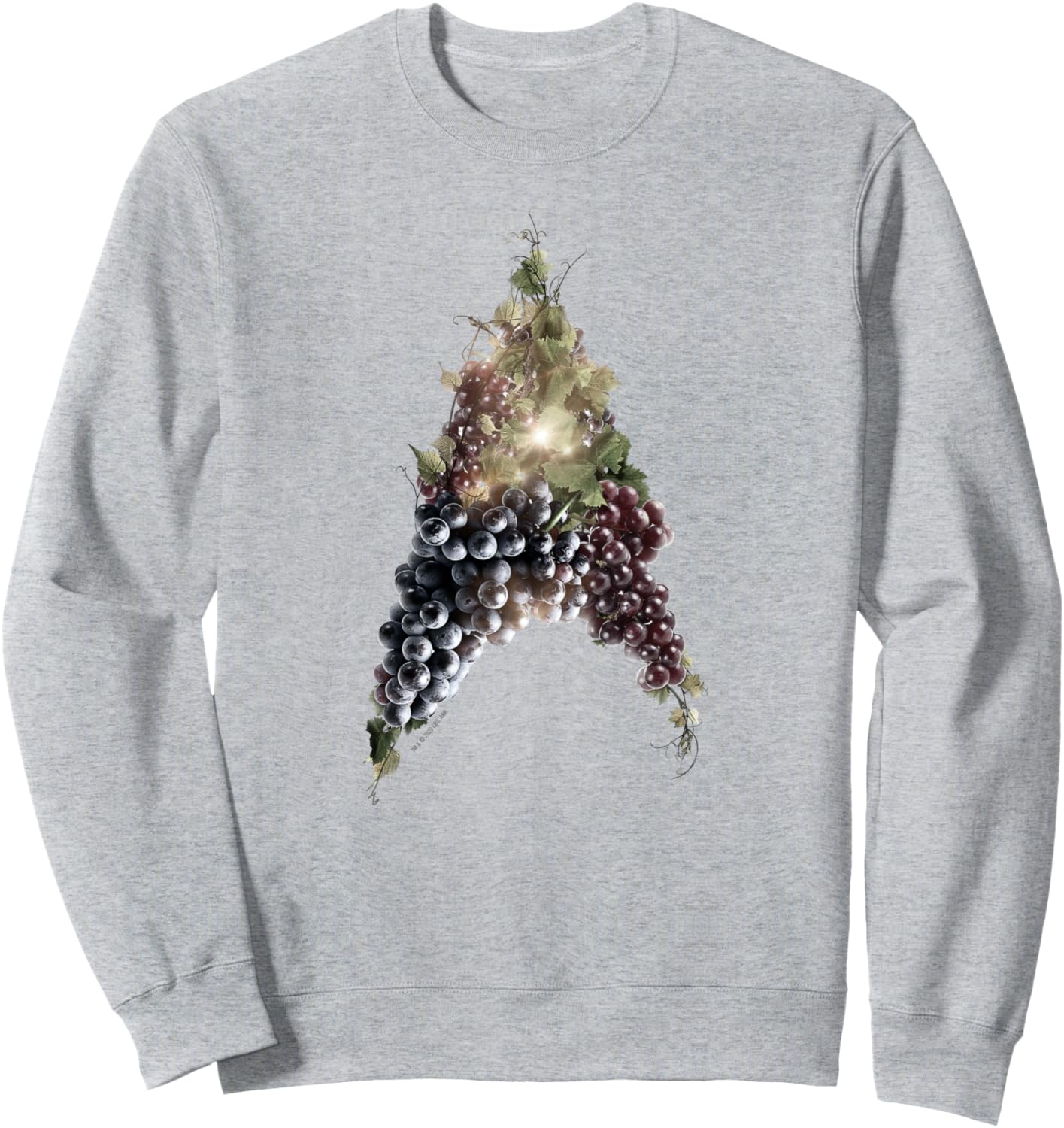 

Толстовка Star Trek: Picard Vinyard Delta, серый