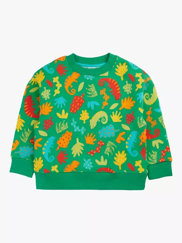 Детская толстовка из превосходного хлопкового флиса, Chameleon Camp Frugi