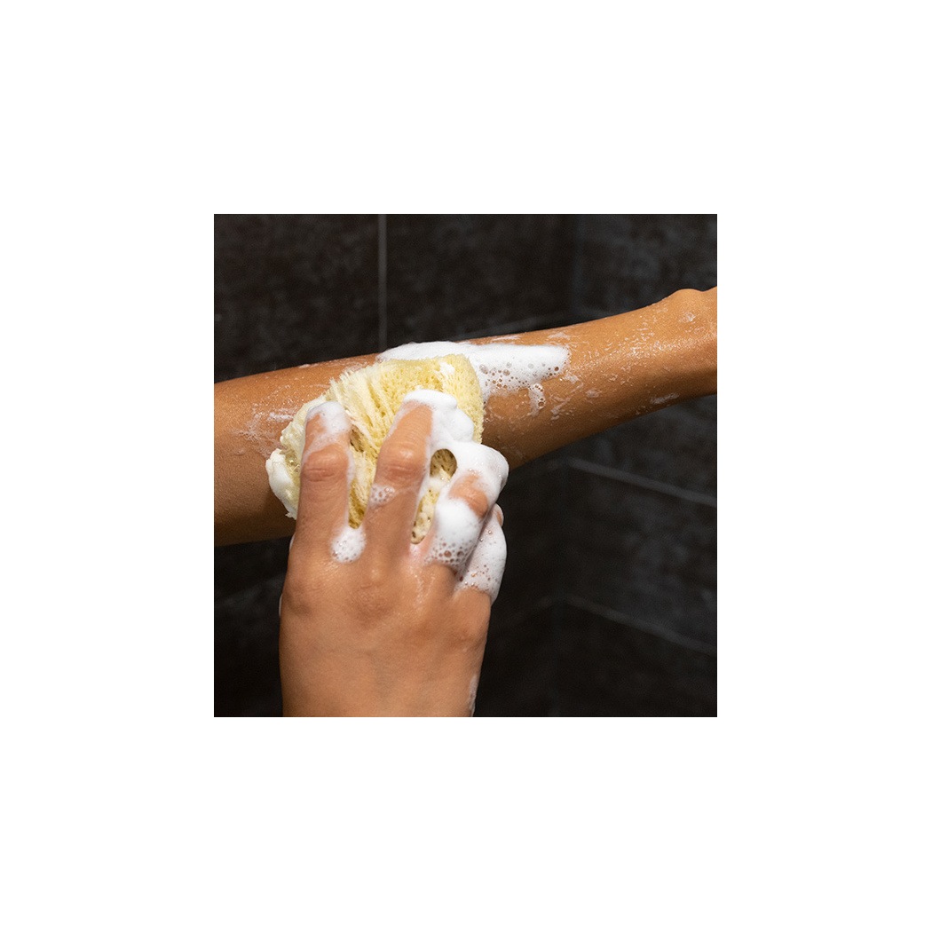 Гель для душа vetiver body wash Co Bigelow, объем 310 мл — фото 3