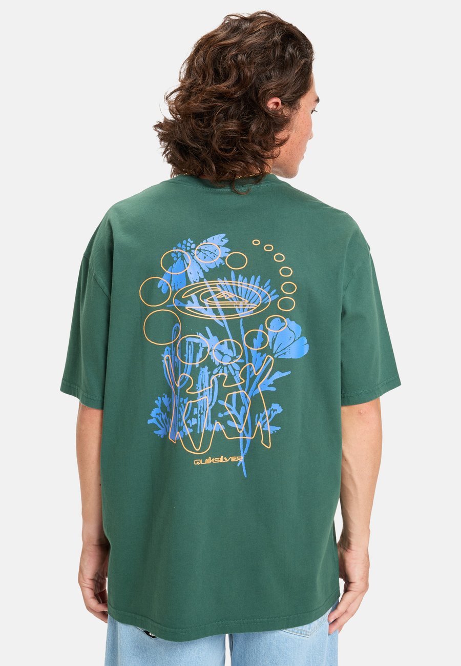 

Футболка Quiksilver Print T-shirt, Green