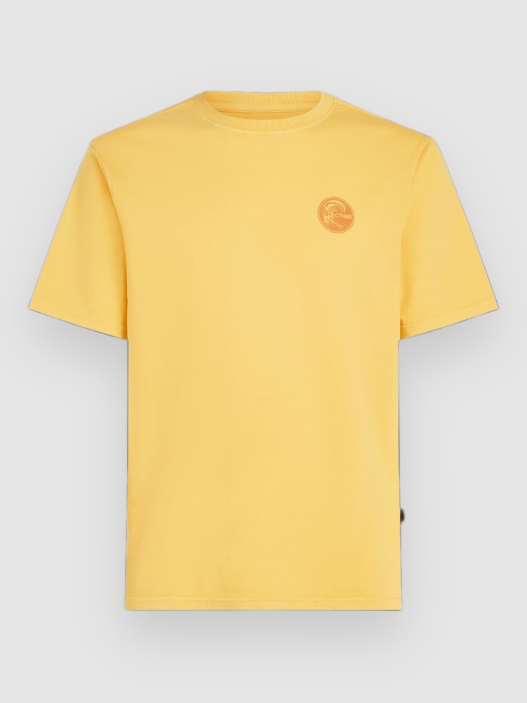 

Футболка O'Neill O'Riginals Vintage Graphic T-Shirt, golden haze