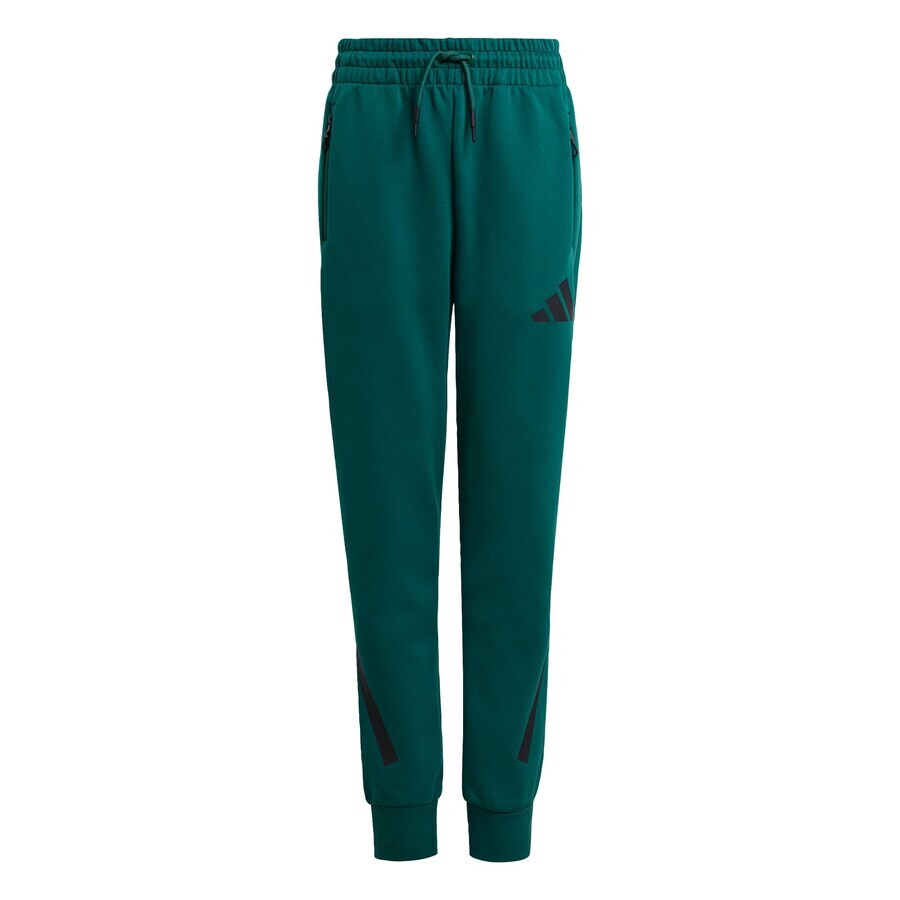 

Брюки ADIDAS SPORTSWEAR Regular Workout Pants Z.N.E., зеленый