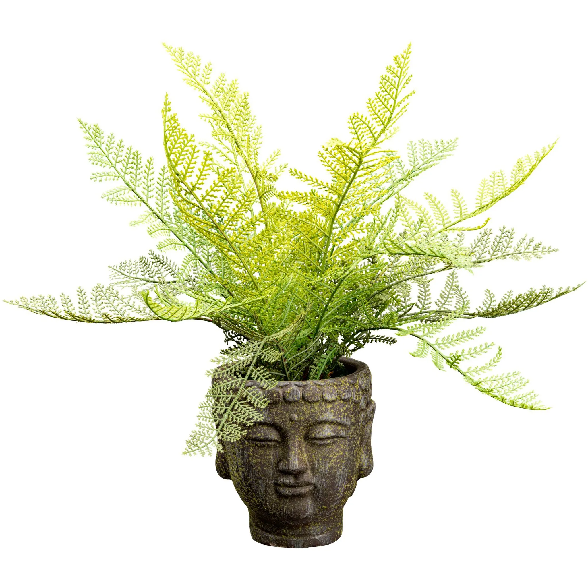 

Креативное зеленое искусственное растение «Папоротник» в необычной таре Creativ Green, зеленый