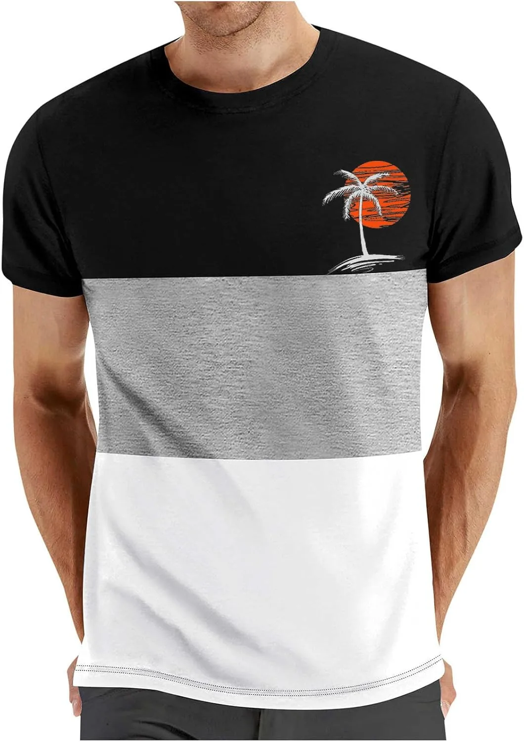 

Мужская футболка с принтом Coconut Palm, цветной блок, короткий рукав, Regular Fit