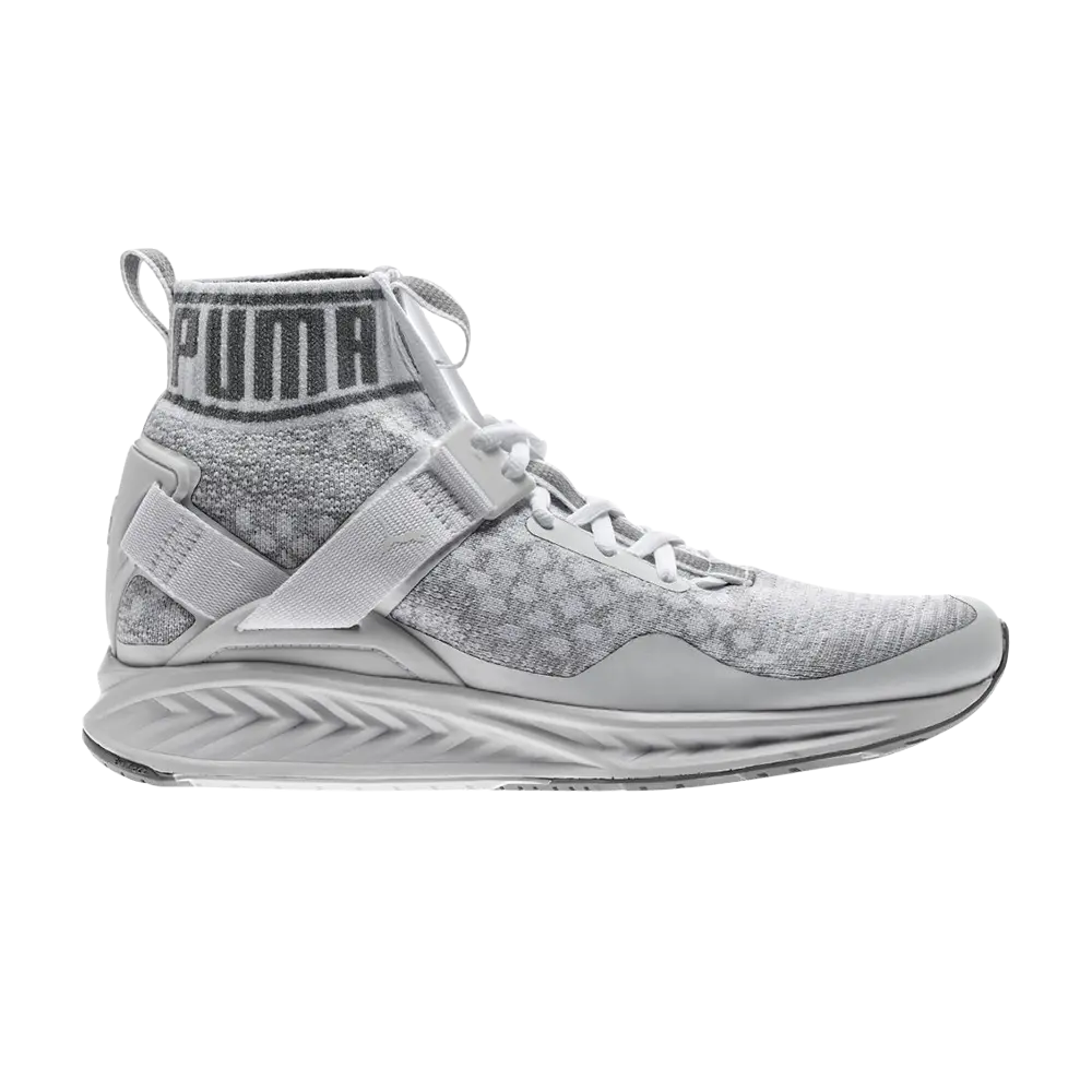 Кроссовки Ignite 3 Evoknit Mid Puma, серый