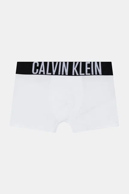 Боксеры детские хлопковые 2 шт Calvin Klein Underwear, синий — фото 2