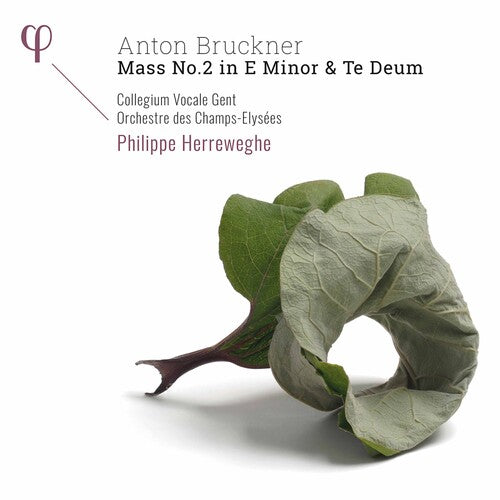 

CD диск Bruckner / Collegium Vocale Gent / Herreweghe: Mass 2 in E Minor