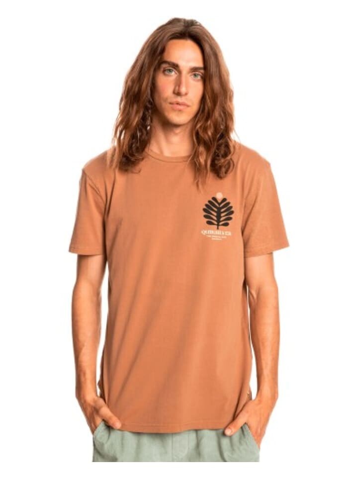 

Футболка Quicksilver Tshirt, коричневый