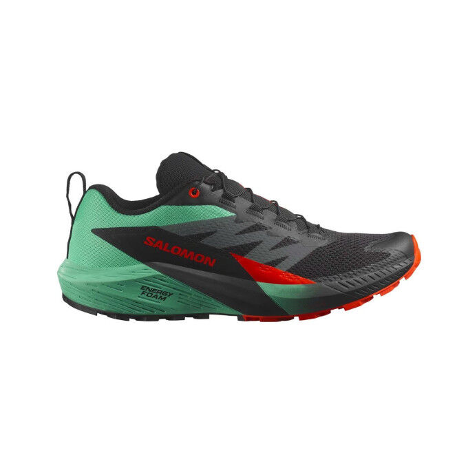 

Мужские кроссовки для трейлраннинга Salomon SENSE RIDE 5 - черный / ягодный / вишневый томат