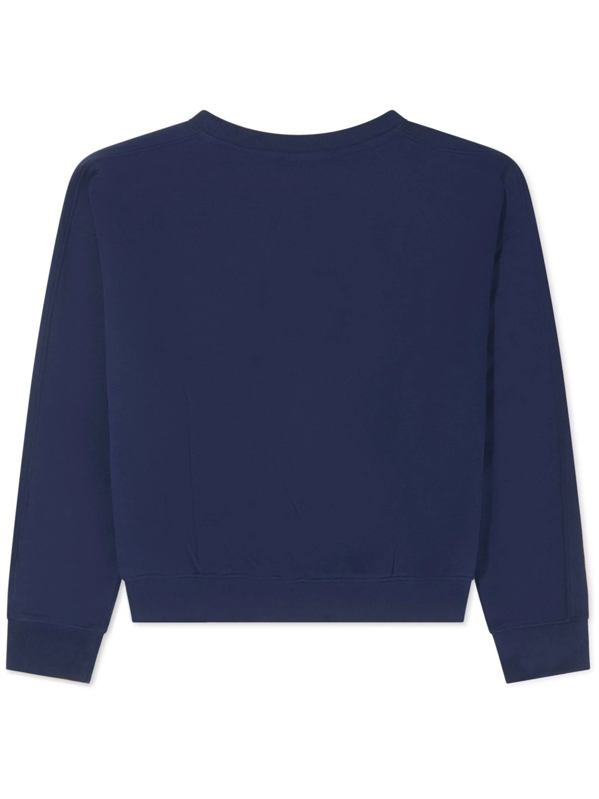 

Толстовка с логотипом Polo Ralph Lauren Kids, синий