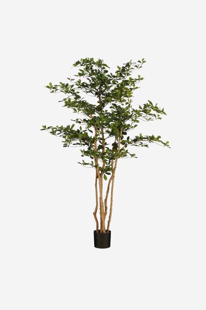 

Искусственное растение оливкового дерева Mica Decorations, зеленый