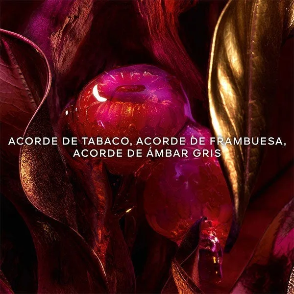 Парфюмерная вода для мужчин GUERLAIN Absolus Allegoria Tabac Sahara 125 мл — фото 3
