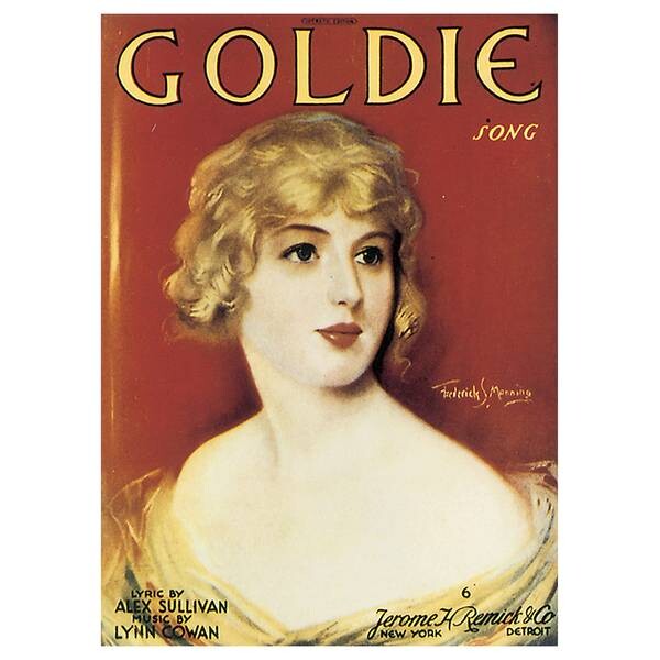 

Картина на холсте LegendArte Goldie Song, многоцветный