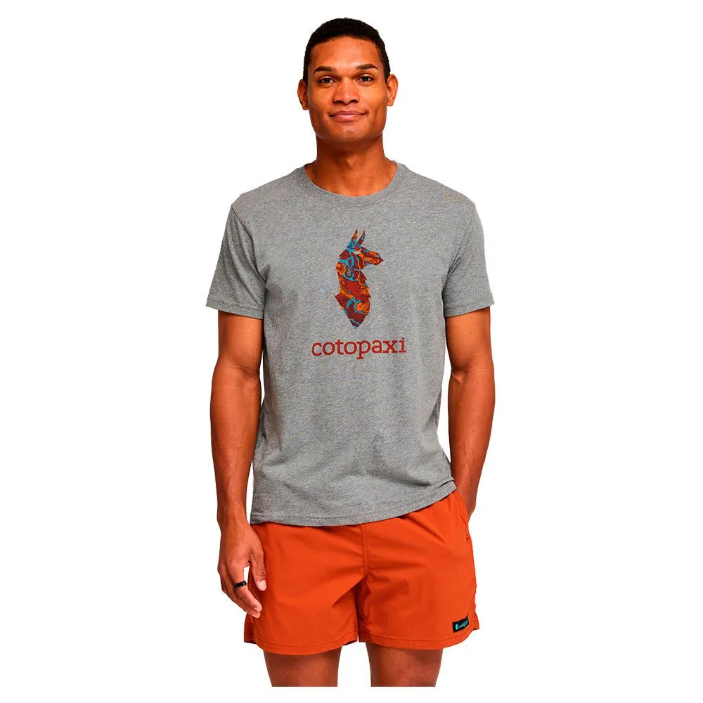 

Футболка Cotopaxi Altitude Llama, серый