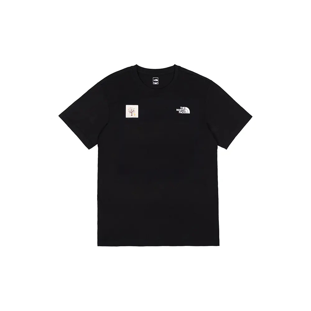 

Футболка мужская черная The North Face, черный