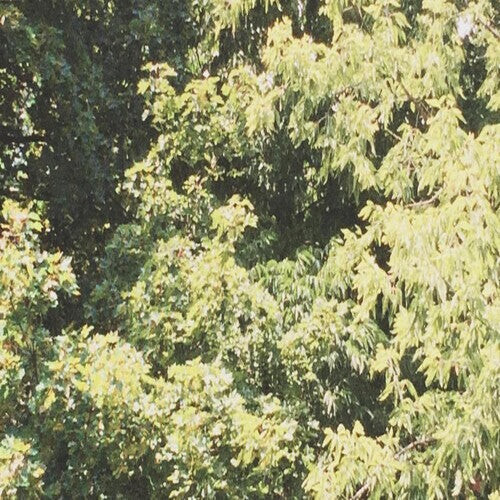 

CD диск Sadness: Circle Of Veins