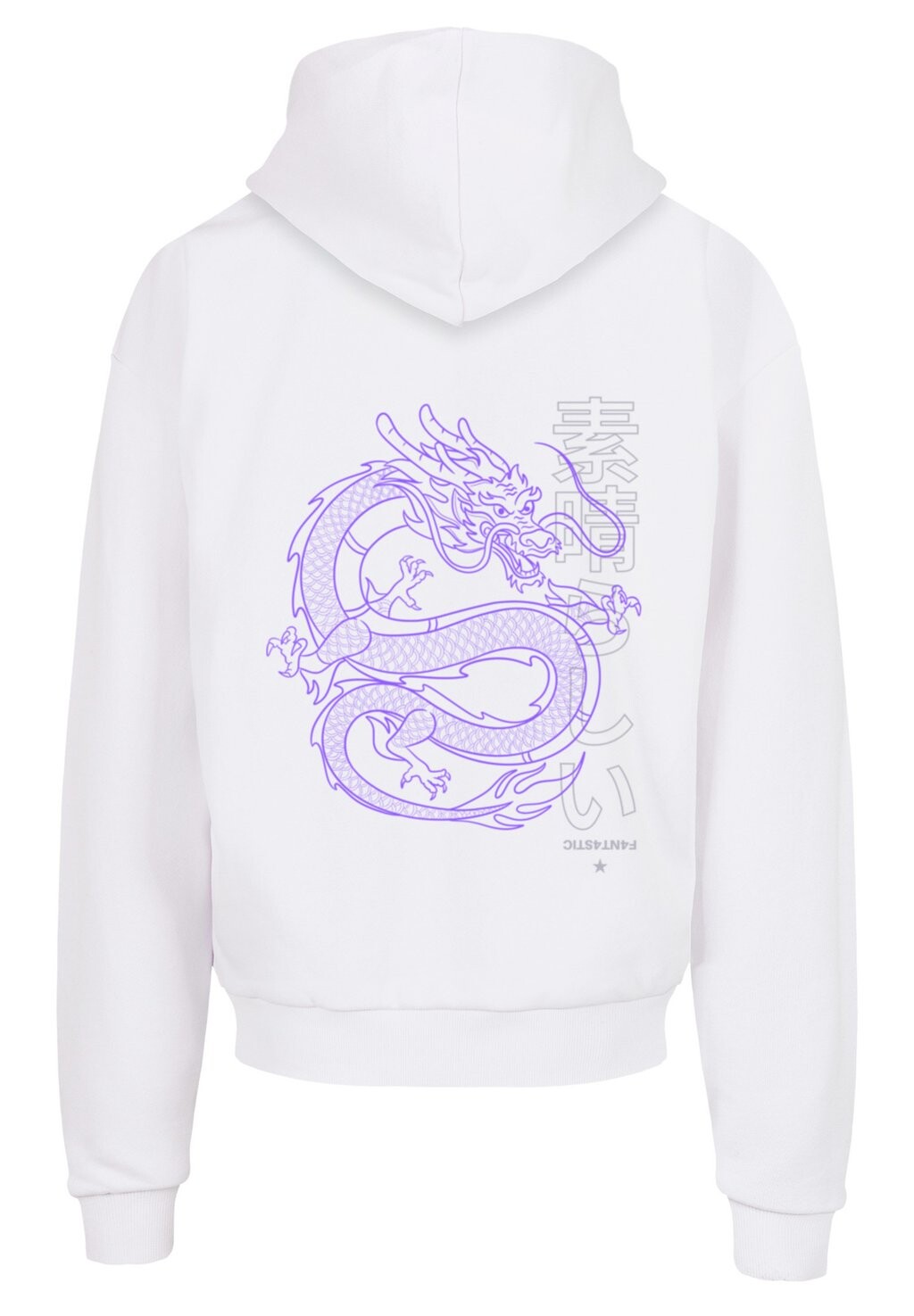

Толстовка с капюшоном DRACHE JAPAN F4NT4STIC, белый