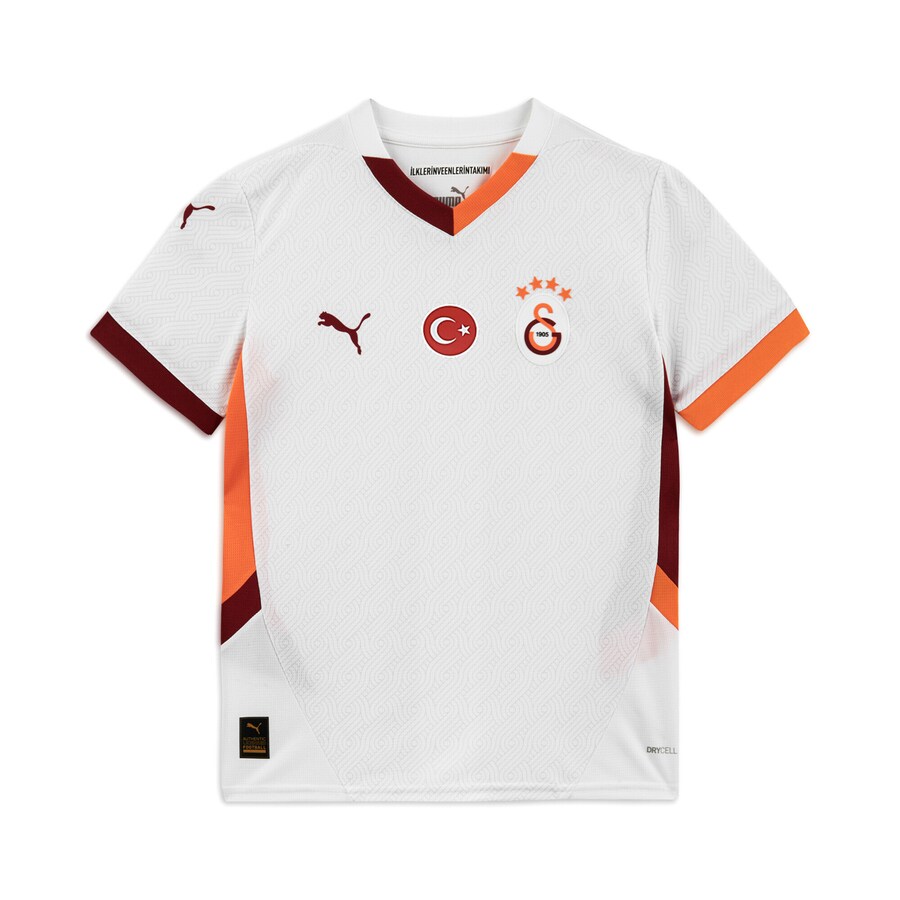 

Спортивная футболка PUMA Performance Galatasaray SK 24/25, белый